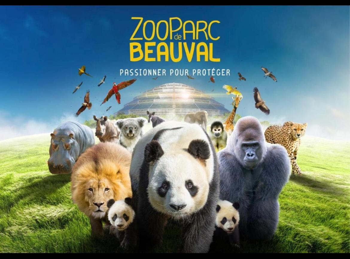 Gite Souai Et Zen , 5 Mn Du Zooparc De Beauval Saint-Aignan  Exterior photo